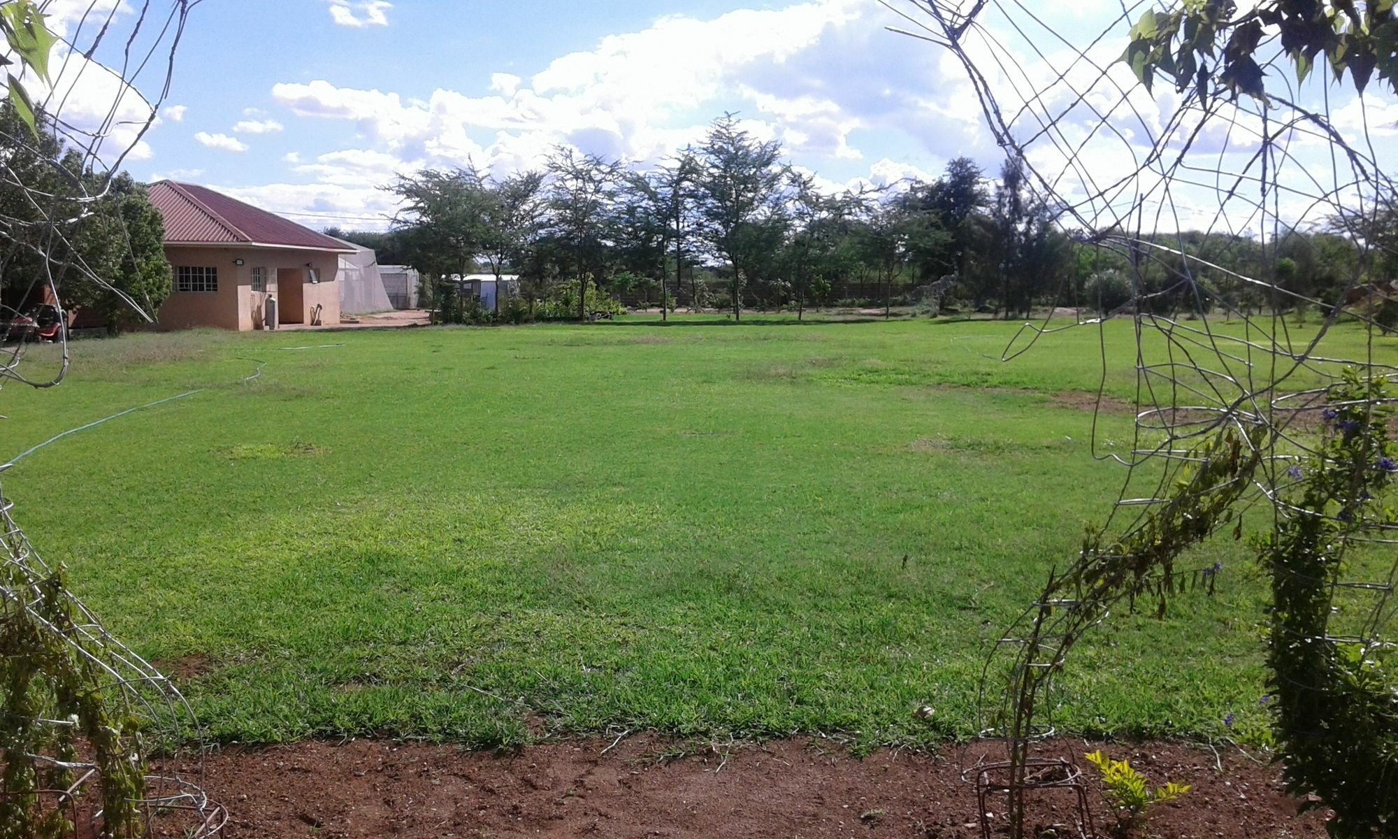 Adansonia Hotel Francistown Exterior foto